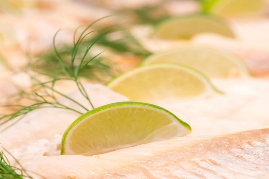 Frischer Fisch Frischer Fisch